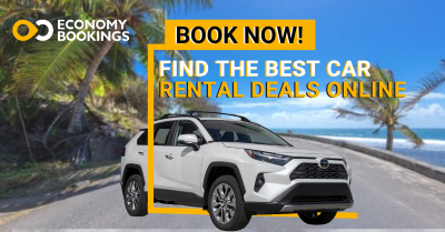 Car Rentals