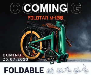 Folding Electric Bike M-160