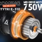 M-310 750W Etrike Deal