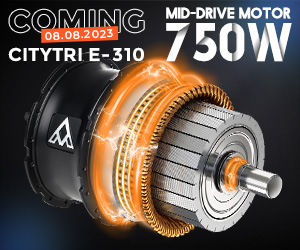 M-310 750W Etrike Deal