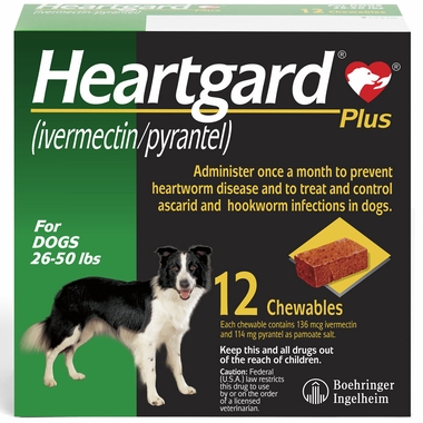 15399739-1724966272306 - GetTopPromotions.com Heartworm Medications