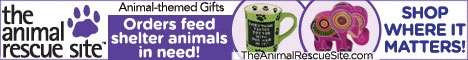 Store Banner